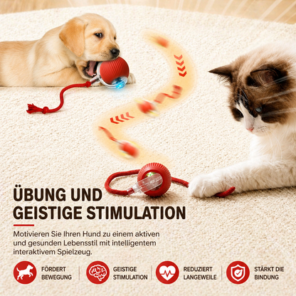 SeilBall