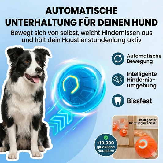Interaktiver Spielball