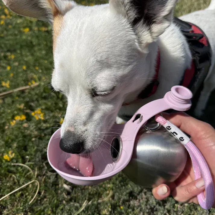 SpielHund™-Trinkflasche mit Napf